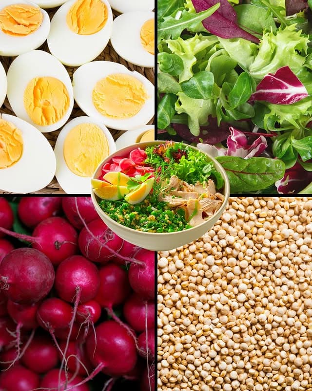 V UGO víš, co jíš. 🥗